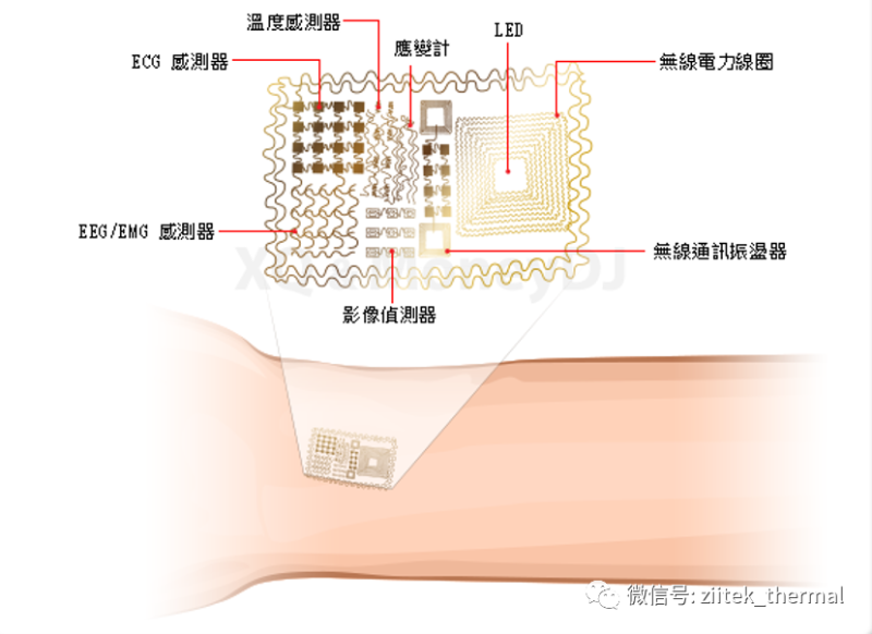 電子皮膚產品圖 電子皮膚產品圖
